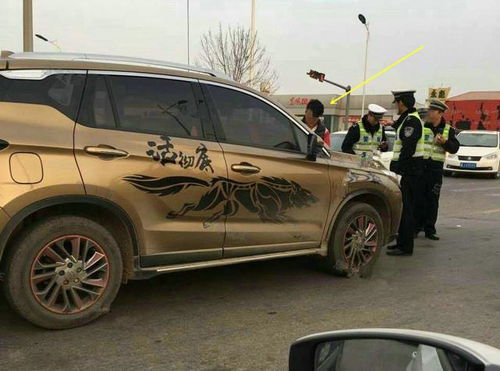 汽车可挂多少牌子